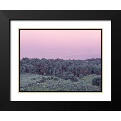 Dense Forest Black Modern Wood Framed Art Print with Double Matting by Frank, Assaf