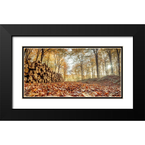Stack of tree logs in autumn forest Black Modern Wood Framed Art Print with Double Matting by Frank, Assaf
