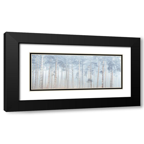 Misty Forest Black Modern Wood Framed Art Print with Double Matting by Frank, Assaf