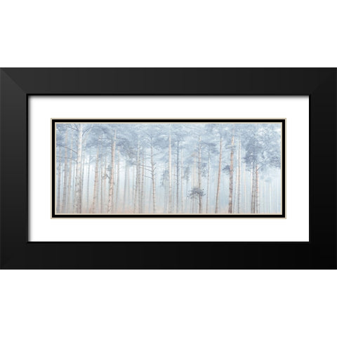 Misty Forest Black Modern Wood Framed Art Print with Double Matting by Frank, Assaf