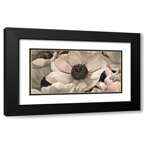 AF20111223 Anemone 008C18 Black Modern Wood Framed Art Print with Double Matting by Frank, Assaf