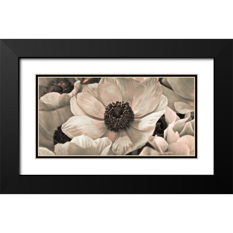 AF20111223 Anemone 008C18 Black Modern Wood Framed Art Print with Double Matting by Frank, Assaf