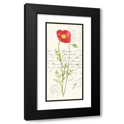 Poppy II Black Modern Wood Framed Art Print with Double Matting by Marrott, Stephanie