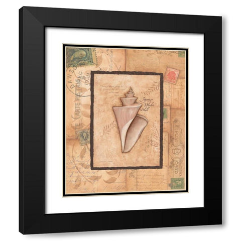 Wonder Shell Black Modern Wood Framed Art Print with Double Matting by Marrott, Stephanie