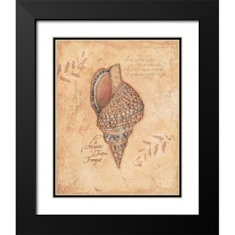 Atlantic Triton Black Modern Wood Framed Art Print with Double Matting by Marrott, Stephanie