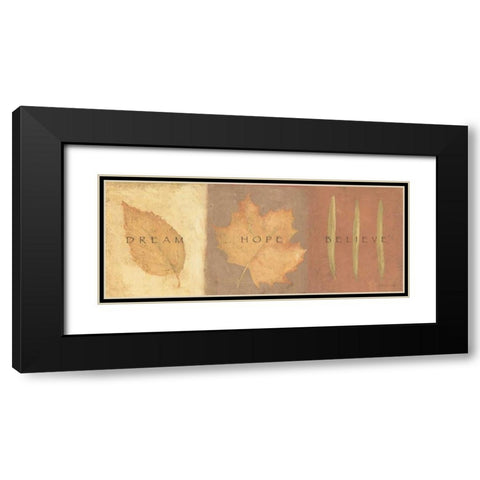 Dream Hope Believe Black Modern Wood Framed Art Print with Double Matting by Marrott, Stephanie