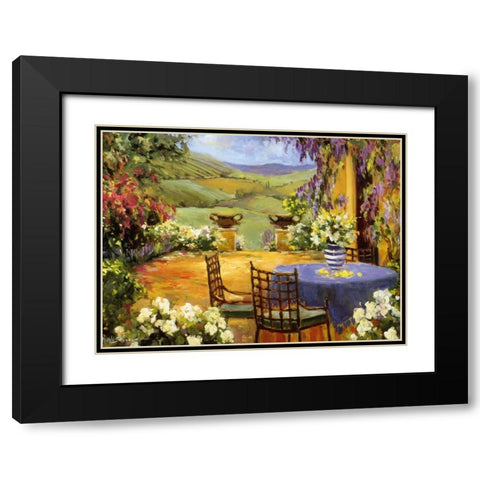 Countryside Terrace Black Modern Wood Framed Art Print with Double Matting by Stevens, Allayn