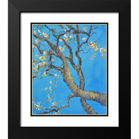 Cherry Blossom -1 Black Modern Wood Framed Art Print with Double Matting by Stevens, Allayn