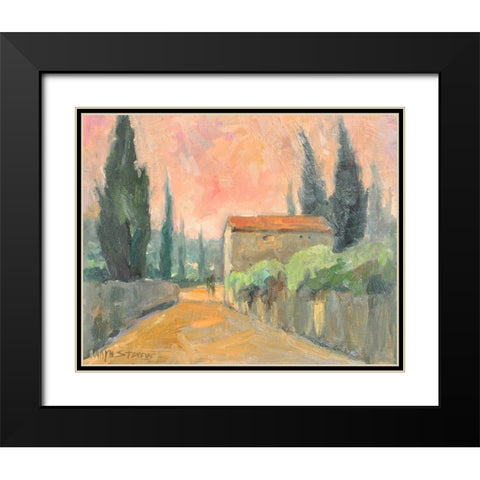Tuscan Farm Black Modern Wood Framed Art Print with Double Matting by Stevens, Allayn