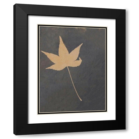 Lone Leaf Black Modern Wood Framed Art Print with Double Matting by Blue