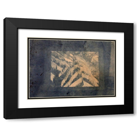 Ferns Framed Black Modern Wood Framed Art Print with Double Matting by Blue