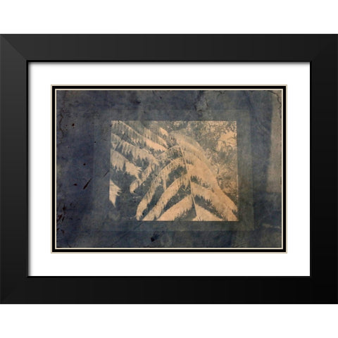 Ferns Framed Black Modern Wood Framed Art Print with Double Matting by Blue