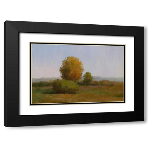 Tree in the Sun II Black Modern Wood Framed Art Print with Double Matting by Chin, Art