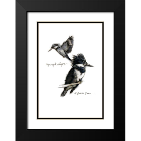 Chickadee Black Modern Wood Framed Art Print with Double Matting by Dean, Bruce