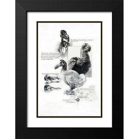 Dodo Black Modern Wood Framed Art Print with Double Matting by Dean, Bruce