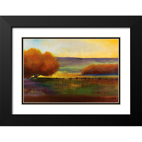 Forest Black Modern Wood Framed Art Print with Double Matting by Sokol-Hohne