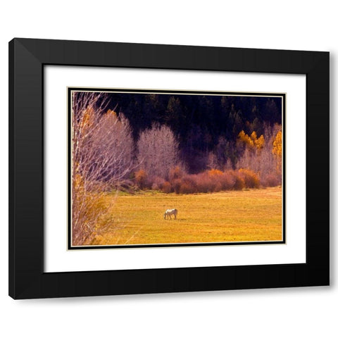 Horse Pasture Black Modern Wood Framed Art Print with Double Matting by Linden, Sally