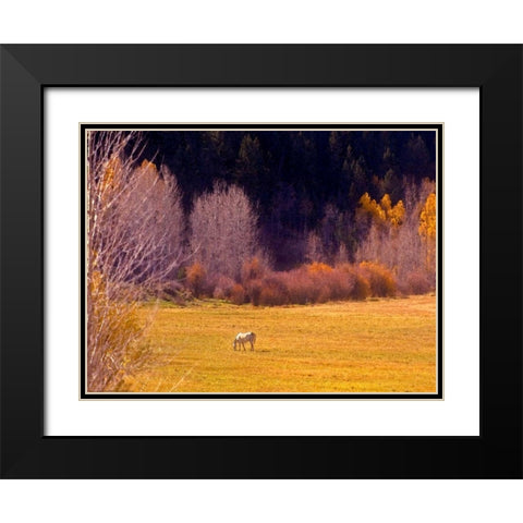 Horse Pasture Black Modern Wood Framed Art Print with Double Matting by Linden, Sally