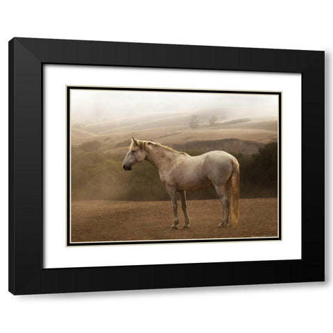 Morning Mist Black Modern Wood Framed Art Print with Double Matting by Linden, Sally