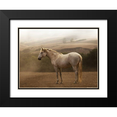 Morning Mist Black Modern Wood Framed Art Print with Double Matting by Linden, Sally