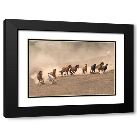 Running Wild Black Modern Wood Framed Art Print with Double Matting by Linden, Sally