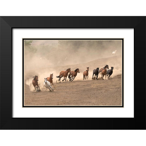 Running Wild Black Modern Wood Framed Art Print with Double Matting by Linden, Sally