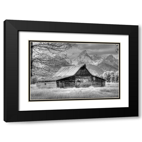 Sign Of The Feather Black Modern Wood Framed Art Print with Double Matting by Linden, Sally