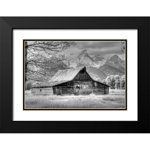 Sign Of The Feather Black Modern Wood Framed Art Print with Double Matting by Linden, Sally