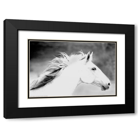 Mane In The Wind Black Modern Wood Framed Art Print with Double Matting by Linden, Sally