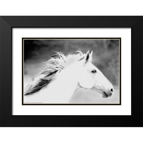 Mane In The Wind Black Modern Wood Framed Art Print with Double Matting by Linden, Sally