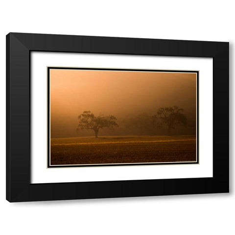Sun Rising Black Modern Wood Framed Art Print with Double Matting by Linden, Sally