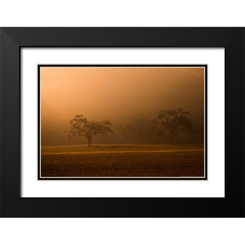 Sun Rising Black Modern Wood Framed Art Print with Double Matting by Linden, Sally