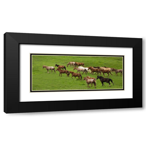 Wild Herd Black Modern Wood Framed Art Print with Double Matting by Linden, Sally