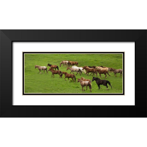 Wild Herd Black Modern Wood Framed Art Print with Double Matting by Linden, Sally
