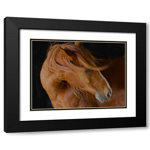 Beautiful Mane Black Modern Wood Framed Art Print with Double Matting by Linden, Sally