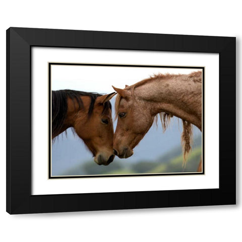 Meadow Two Black Modern Wood Framed Art Print with Double Matting by Linden, Sally