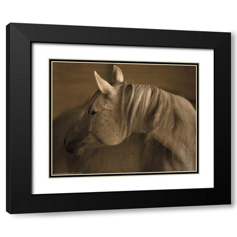 Light At Dusk Black Modern Wood Framed Art Print with Double Matting by Linden, Sally