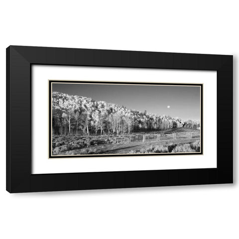 Aspens Moon Black Modern Wood Framed Art Print with Double Matting by Linden, Sally