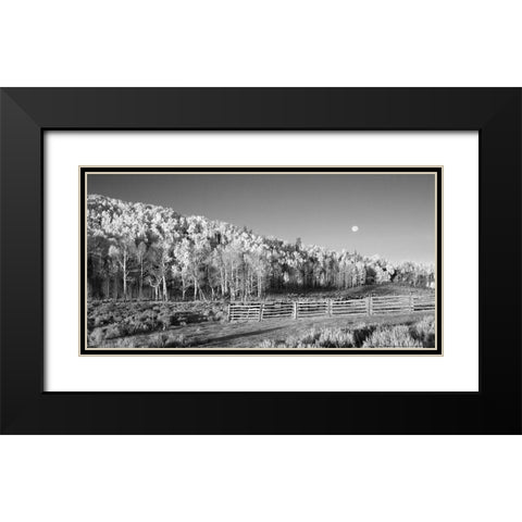 Aspens Moon Black Modern Wood Framed Art Print with Double Matting by Linden, Sally