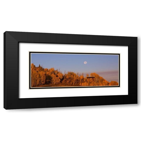 Fall Trees Moon 2 Black Modern Wood Framed Art Print with Double Matting by Linden, Sally