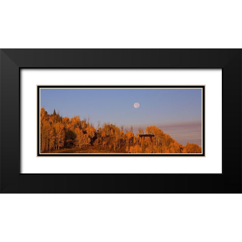 Fall Trees Moon 2 Black Modern Wood Framed Art Print with Double Matting by Linden, Sally