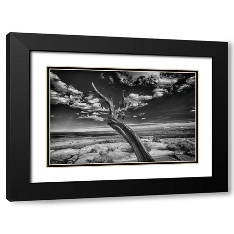 Desert Tree Black Modern Wood Framed Art Print with Double Matting by Linden, Sally