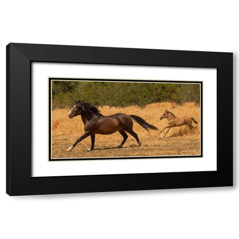 Amante and Amber Black Modern Wood Framed Art Print with Double Matting by Linden, Sally