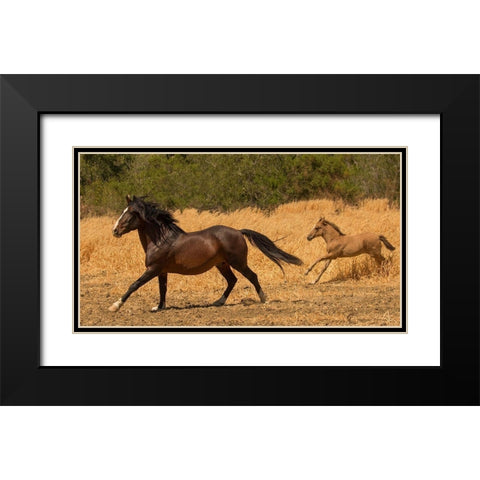 Amante and Amber Black Modern Wood Framed Art Print with Double Matting by Linden, Sally