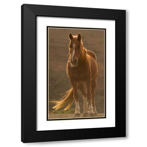 Blowing In The Wind Black Modern Wood Framed Art Print with Double Matting by Linden, Sally