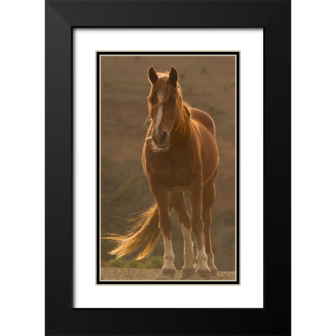 Blowing In The Wind Black Modern Wood Framed Art Print with Double Matting by Linden, Sally