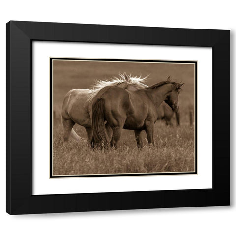 Horse Walk Black Modern Wood Framed Art Print with Double Matting by Linden, Sally