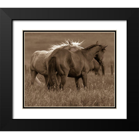 Horse Walk Black Modern Wood Framed Art Print with Double Matting by Linden, Sally