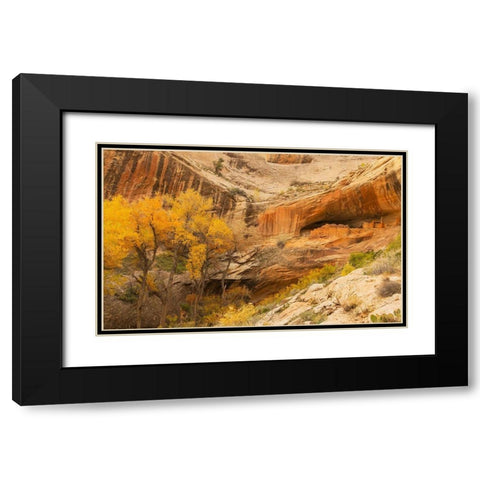 Anastzi Homeland Black Modern Wood Framed Art Print with Double Matting by Linden, Sally