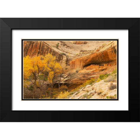 Anastzi Homeland Black Modern Wood Framed Art Print with Double Matting by Linden, Sally